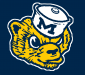 Profile picture for user MichiganSports3