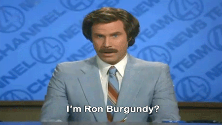 Ron Burgundy.gif